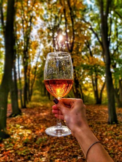 Бокал вина на фоне осеннего пейзажа
