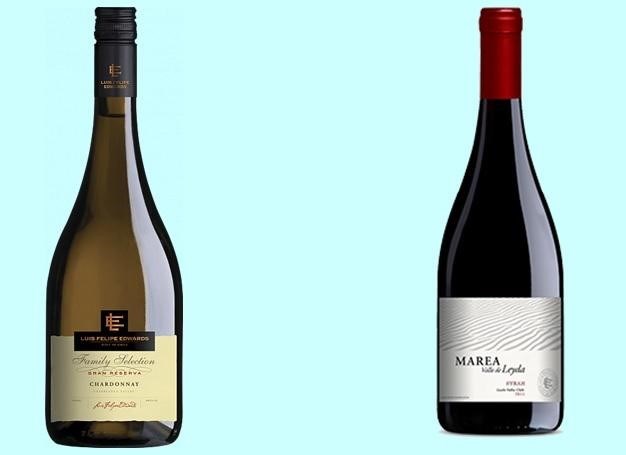 Вино Chardonnay Family Selection Gran Reserva и Syrah L.F.E. Marea De Leyda
