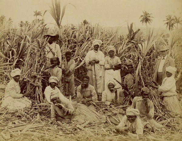 Рабы на плантации сахарного тростника