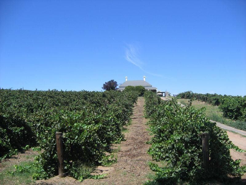 Виноградники в долине Баросса