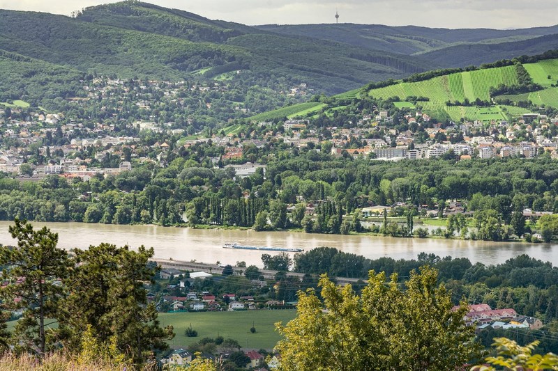 Институт виноградарства и плодоводства в Клостернойбурге