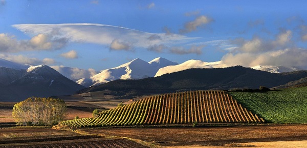 Риоха – самый благодатный для производства вина регион Испании, но и самый консервативный