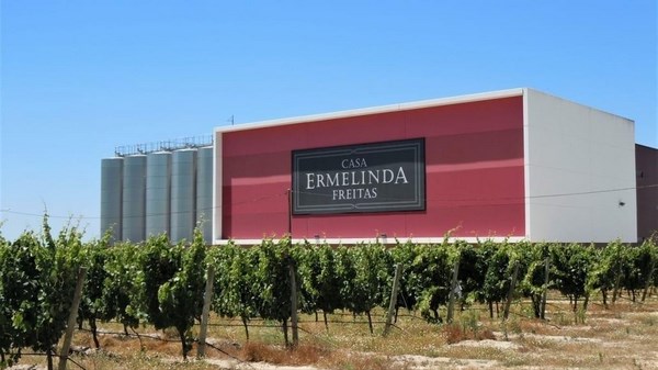 Виноградники Casa Ermelinda Freitas