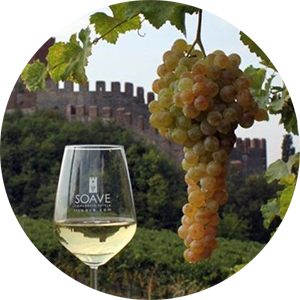 Итальянское вино «Соаве»
