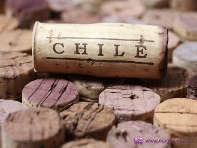 Дегустация вин Чили 27 и 28 ноября!