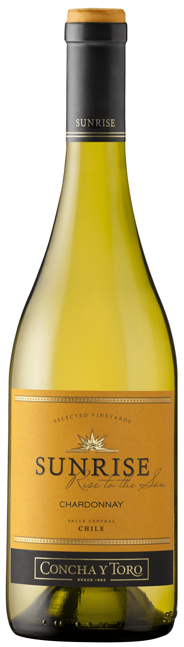 Белое полусухое чили. Вино Sunrise Chardonnay. Вино Чили белое сухое Шардоне. Шардоне Чили. Вино Санрайз Шардоне.