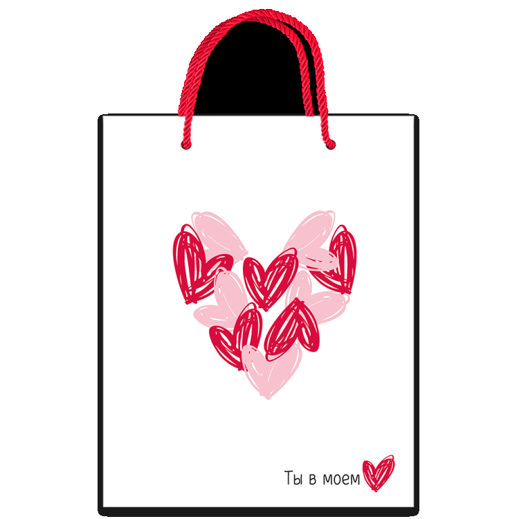 Пакет подарочный ты в моем сердце М 180*227*100