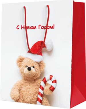 Изображение товара Пакет подарочный L (260*327*136)
