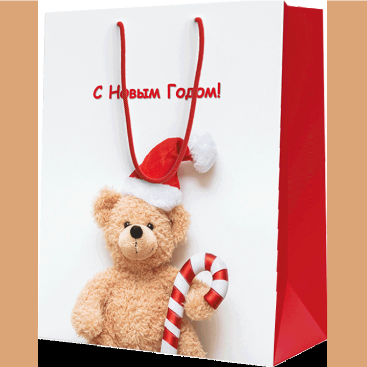 Пакет подарочный L (260*327*136)