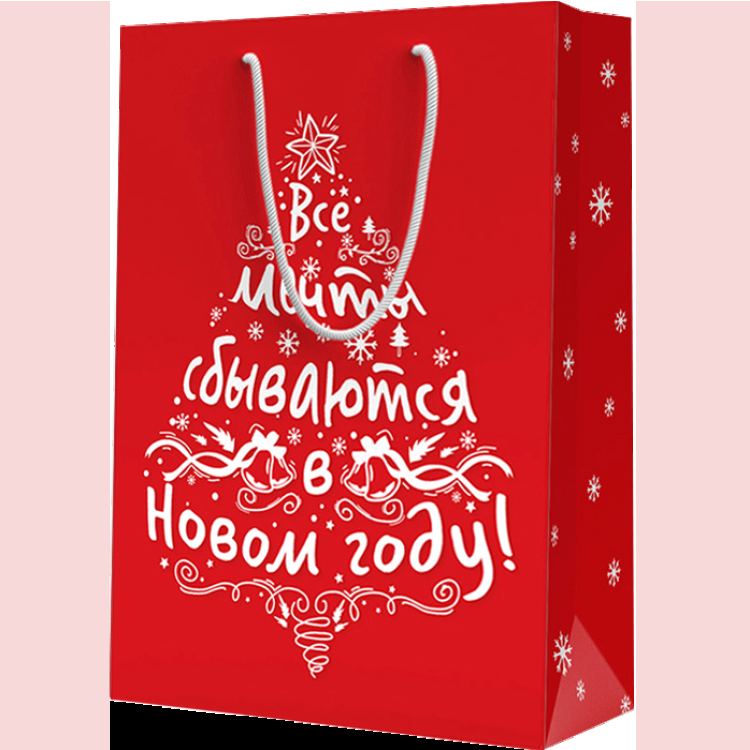 Пакет подарочный МL (220*310*100)