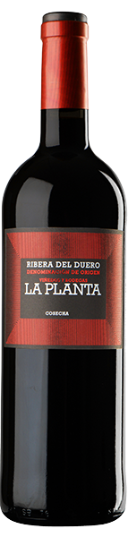 Вино Arzuaga Navarro, La Planta 0.75 л