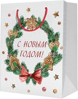 Изображение товара Пакет подарочный М (180*227*100)