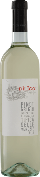 Вино Anna Spinato, Pinot Grigio Diligo IGT 0.75 л