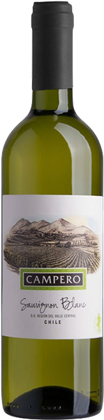 Вино Campero Sauvignon Blanc 0.75 л
