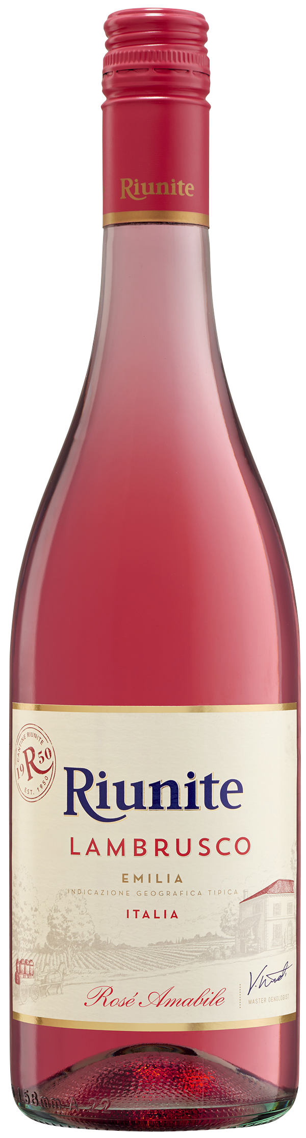 Вино игристое riunite Lambrusco Rose розовое полусладкое. Игристое вино Renuite Lambruscco.