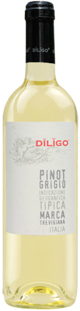 Вино Anna Spinato Pinot Grigio Diligo IGT 0.75 л