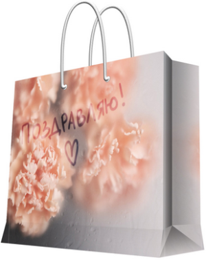 Изображение товара Пакет бумажный с ламинацией 40. 6*33*16