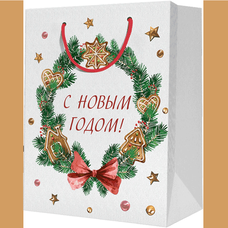 Пакет подарочный М (180*227*100)