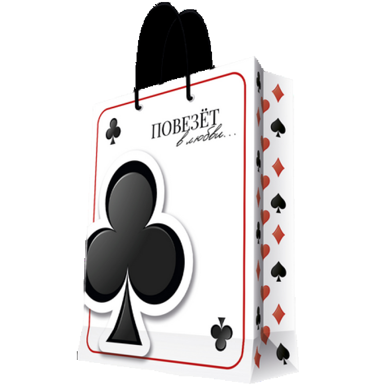 Пакет бумажный с ламинацией 26*32. 4*12. 7