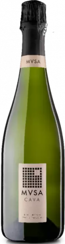 Игристое вино MVSA cava Brut Nature