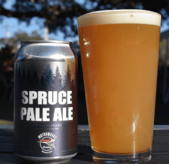 еловое пиво (spruce ale)