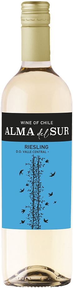 Изображение товара Белое сухое вино Vina De Aguirre Riesling 0. 75 л - свежий холидейный напиток Изображение товара Белое сухое вино Vina De Aguirre Riesling 0. 75 л - свежий холидейный напиток
