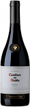 Вино Casillero del Diablo Shiraz