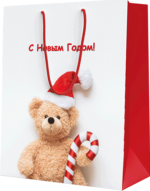 Изображение товара Подарочный пакет L для упаковки подарков 260х327х136 мм