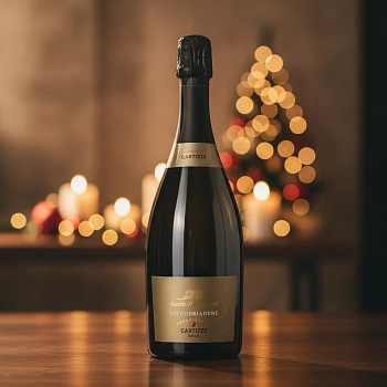 Игристое вино Prosecco Valdobbiadene Superiore di Cartizze DOC 0.75 л