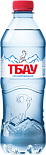 МИНЕРАЛЬНАЯ ПИТЬЕВАЯ СТОЛОВАЯ ВОДА "ТБАУ" негаз ПЭТ 0,5л