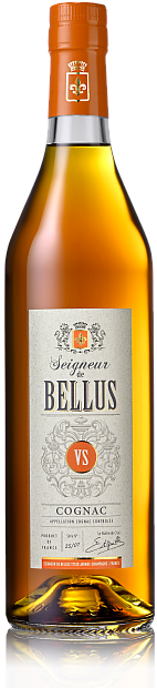 Изображение товара Коньяк Seigneur de Bellus VS 0.5 л французский трехлетний