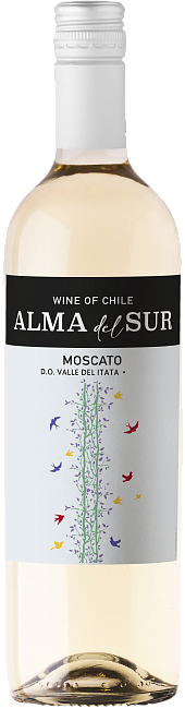 Изображение товара Alma del Sur Moscato - легкое белое вино, 0. 75 л Изображение товара Alma del Sur Moscato - легкое белое вино, 0. 75 л