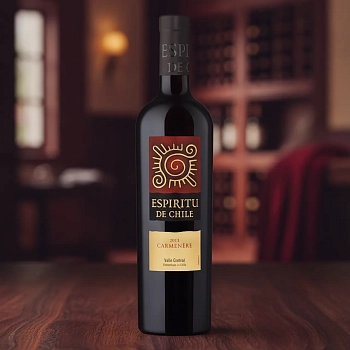 Вино Espiritu de Chile Carmenere 0.75 л