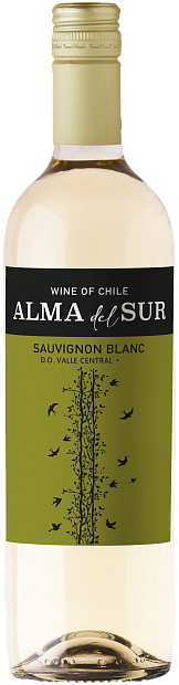 Изображение товара Вино Alma del Sur Sauvignon Blanc 0.75 л 12.5% сухое