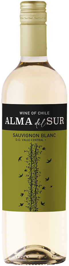 Изображение товара Вино Alma del Sur Sauvignon Blanc