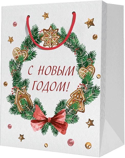 Пакет подарочный М (180*227*100)