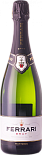 Игристое вино Trento DOC Ferrari Brut