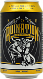 Эль Stone Ruination Double IPA