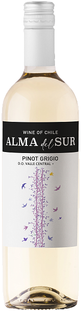 Изображение товара Вино Alma del Sur Pinot Grigio