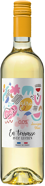 Изображение товара Безалкогольное французское белое вино Bordeaux Families Sauvignon Blanc 0.75л